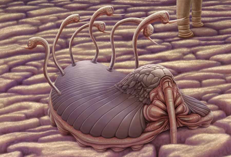 Stabbitha creature