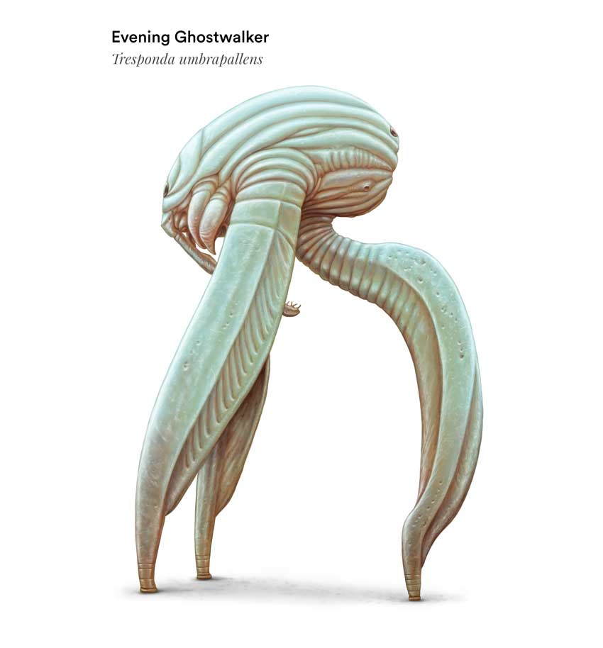 Evening Ghostwalker Triganteon