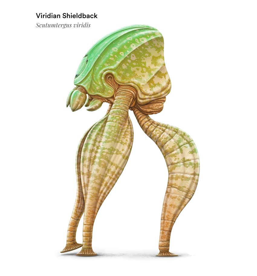 Viridian Shieldback Triganteon