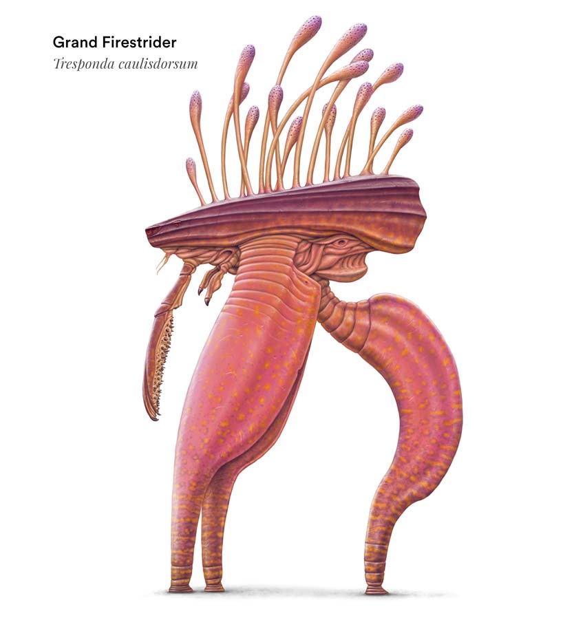 Ember Stalker Triganteon 